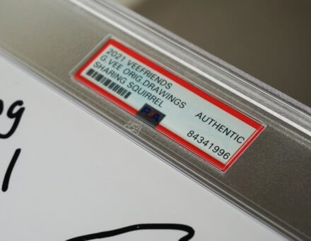 GARY VEE: ORIGINAL VEEFRIEND SKETCH (SHARING SQUIRREL)