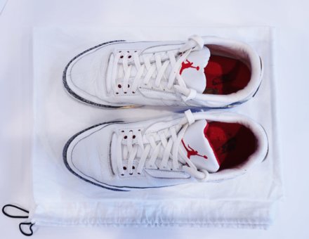 1988 Michael Jordan Nike Air Jordan III Sneakers (Signed)