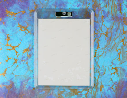 GARY VEE: VEECON EXCLUSIVE SKETCH (VEECON VIPER)